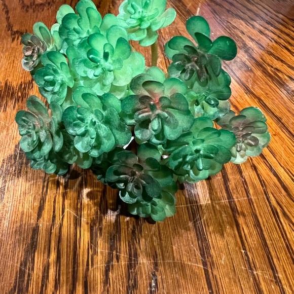 Faux Succulents - Green 16 pcs - Picture 8 of 16